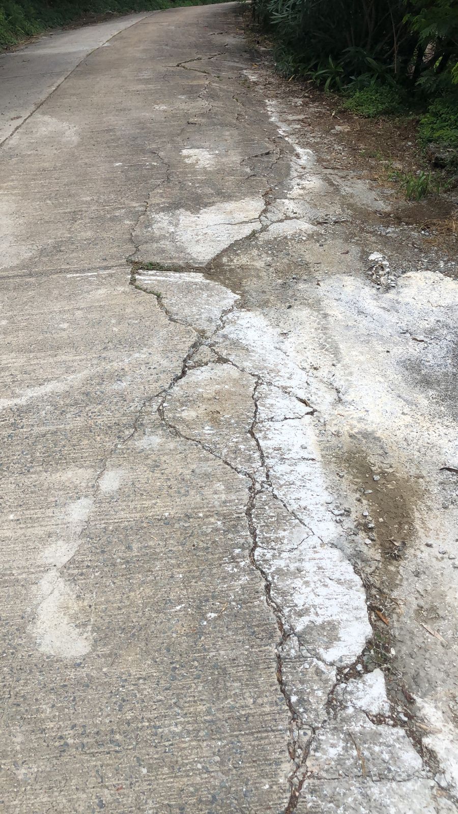 image here publ1image4 image0.jpeg