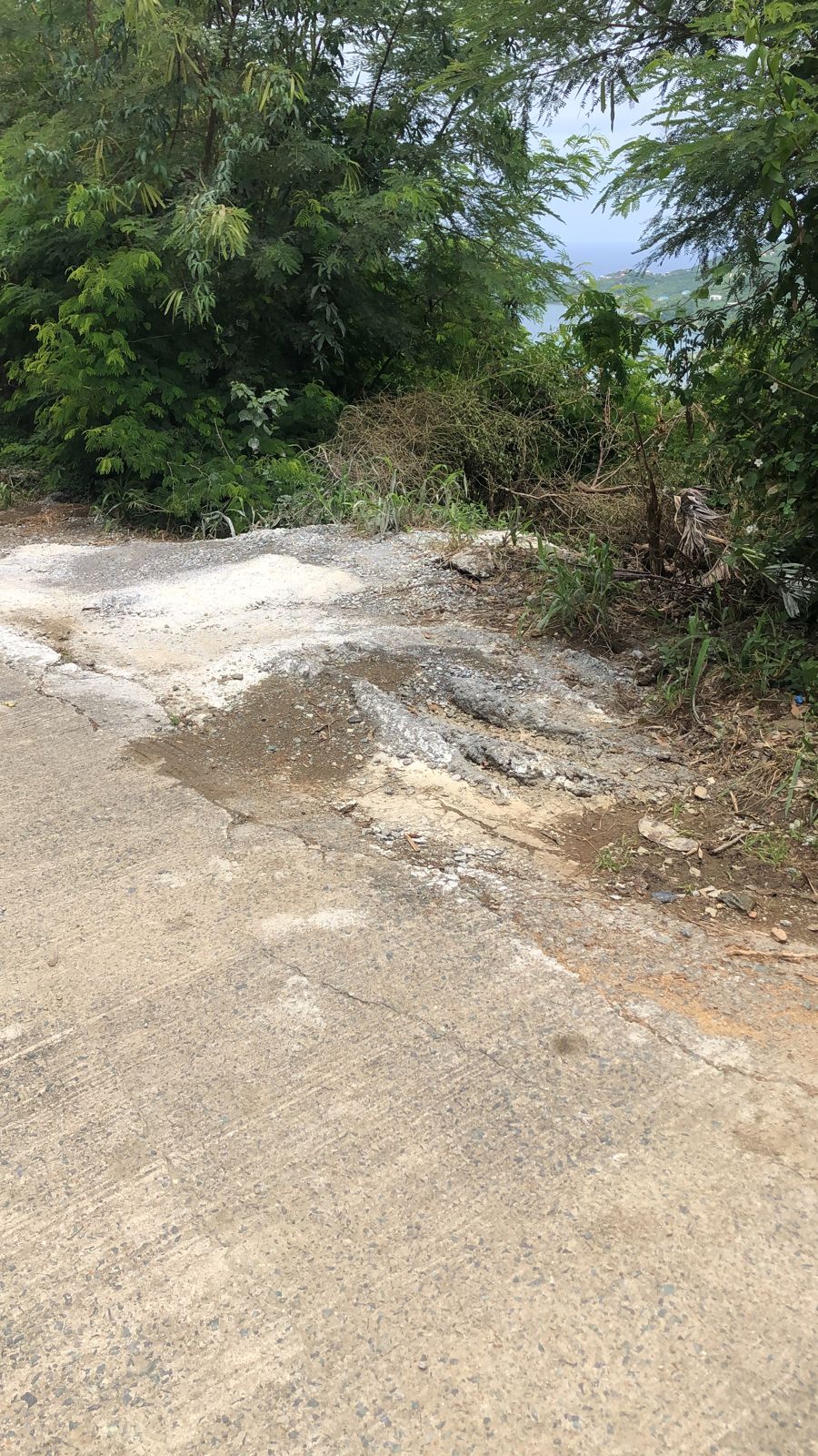 image here publ1image3 image1.jpeg